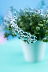 Removable transparent aligners for dental correction hang on the plant. Invisalign braces, dental care and orthodontics