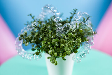 Removable transparent aligners for dental correction hang on the plant. Invisalign braces, dental care and orthodontics