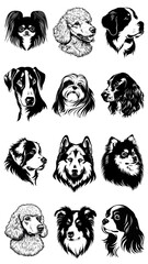 PNG Stylized dog portraits on pink on transparent background