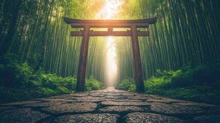 Serene Bamboo Forest Path Ancient Wooden Torii Gate Japan Zen Asia Road Calm View East Green Trees