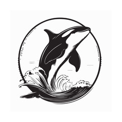 A magnificent orca leaping out of the water image vector isolated on white background.