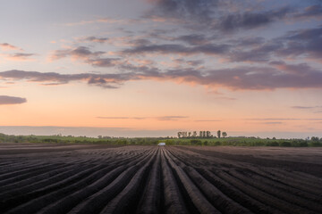 Agricultural field with plowed rows for spring potatoes glowing under warm sunset light. Rural farmland captured at golden hour during early crop preparation