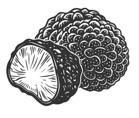 Hand drawn black truffle mushroom line art, displaying textured surface and smooth cross section, designed for culinary, pharmaceutical, natural product applications, vintage monochrome style.