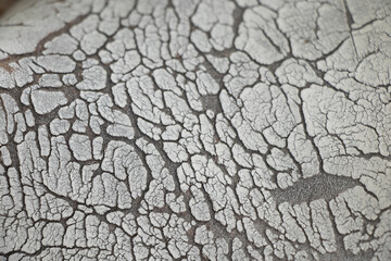 Cracked white surface as background texture , cracks