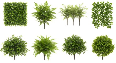 Fototapeta premium Artificial Greenery Collection Boxwood, Fern, & Bush Plants for Decor