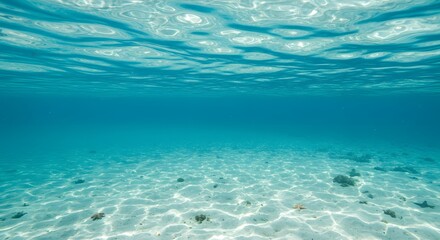 Stunning Underwater Scene Crystal-Clear Water Above Sandy Ocean Floor