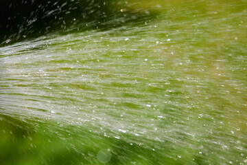 The flow of water from the sprinkler. Moisture for plants in the garden. Rain with your own hands