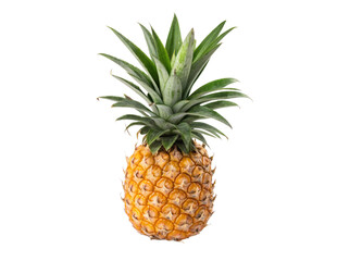 Fototapeta premium Ripe Pineapple with Green Crown Isolated Close-up Picture With PNG, Transparency and JPEG Background