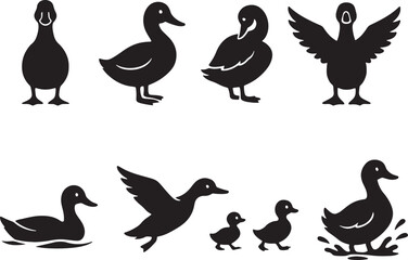 Duck Silhouettes Vector Illustration Isolated on White Background