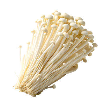 Cluster of enoki mushrooms isolated on a transparent background