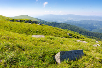 white sharp stones on the hillside. scenic travel destination of ukraine. lovely carpathian mountain landscape in summer. huge rocks scattered among alpine grass. stunning terrain of smooth mountain