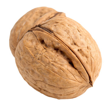 Cracked walnut shell isolated on a transparent background
