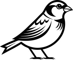 Obraz premium bird on a white background