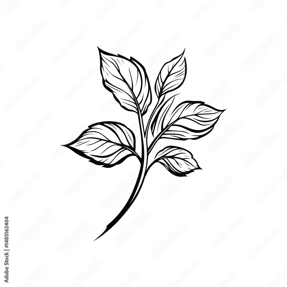 Poster graceful black lines create elegant botanical leaf art with transparent background here