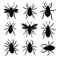 collection of insects