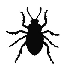Insect silhouette vector illustration
