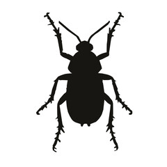 Insect silhouette vector illustration