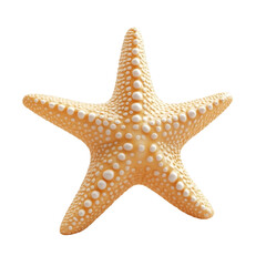 Isolated Starfish on a White Background, Illustrating Marine Life