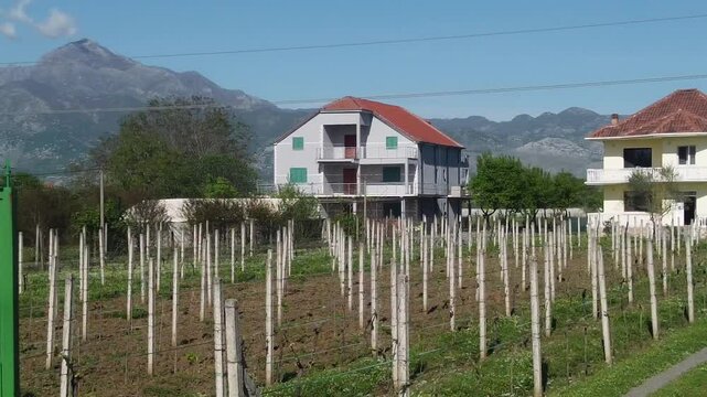 panorama in Shkodra region , Albania