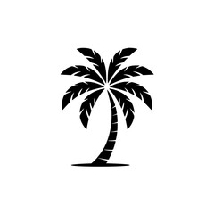 Silhouette of a palm tree