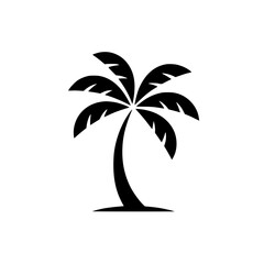 Silhouette of a palm tree