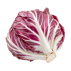 Obraz premium a close up of a red cabbage on a white background