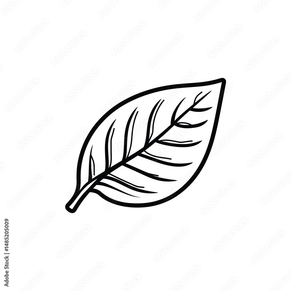 Poster isolated leaf showcases a simple handdrawn black outline on transparent background