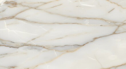 Marble Stone Surface Texture White and Gold