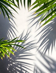 Dappled silhouettes of palm fronds dancing on a weathered concrete surface, creating an artistic textured backdrop with natural leaf patterns., grunge. with white shades