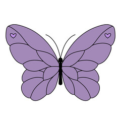 butterfly vector illustration