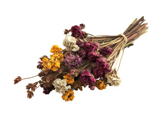 Isolated Bunch of Dried Flowers