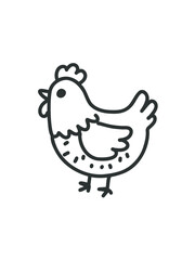 side view of a domestic chicken