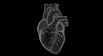 Abstract human heart wireframe model on black background for science technology