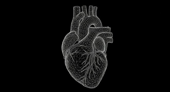 Abstract human heart wireframe model on black background for science technology