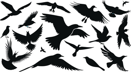Black Silhouettes of Flying Birds in Various Poses