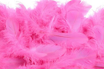 Pink feather cluster close-up