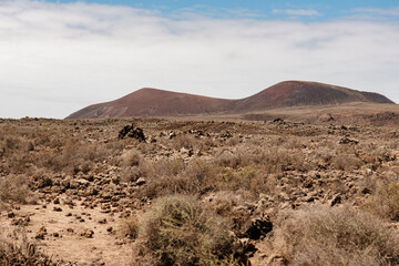 Explore the unique volcanic landscape of Fuerteventura