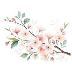 Cherry Blossom Branch isolated PNG or Transparency Background