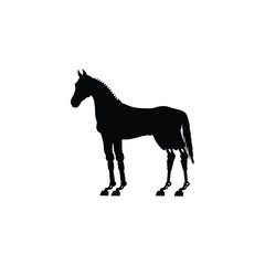 robotic horse silhouette on white background