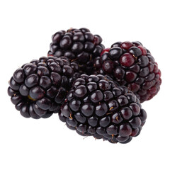 Fresh Blackberries Close-Up isolated PNG or Transparency Background