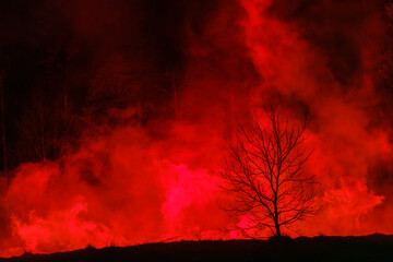 Silhouette of a bare tree against a fiery red sky, possibly smoke or fog. The ground is dark and indistinct. Krampus and St Nicholas, 5 December in Camporosso Valcanale, Tarvisio, Italy.