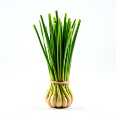 a bunch of green onions tied together with a string, sitting against a plain background.