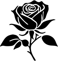 black rose vector illustration