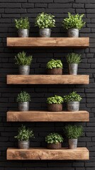 Rustic Wooden Shelf with Potted Herbs in Tin Cans Against Black Brick Wall