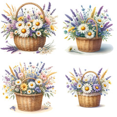 bouquet in a rustic wicker basket, filled with wildflowers such as daisies, lavender, and babys breath. watercolor clipart illustration isolated on a white background