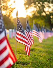 Rows of small American flags placed on graves in a veterans cemetery during sunrise