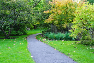 Path through a beautiful garden