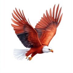 Obraz premium Majestic Flying Eagle with Striking Red and White Feathers Captured in Mid-Flight