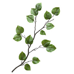 Naklejka premium Green leafy branch with vibrant foliage on a neutral background on transparent background