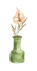Watercolor Flowers in Green Vase Illustration Delicate Floral Arrangement Hand Painted, Calla Lily Flowers png